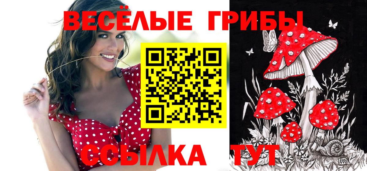 Кохма  Галлюциногенные грибы Magic Shrooms  Вход с VPN 