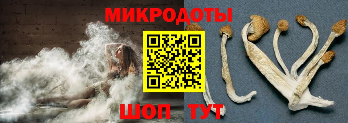 Галлюциногенные грибы Psilocybine cubensis Кохма